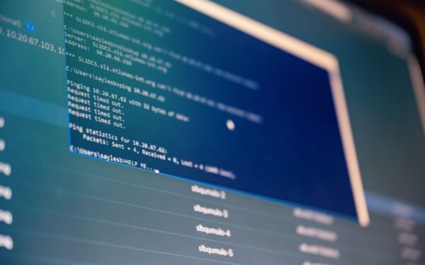 Filrettigheter på nettserver: en rolig grunninnføring for WordPress-eiere